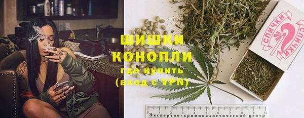 стаф Верхний Тагил