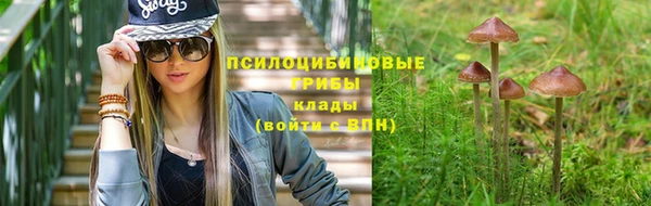 а пвп мука Верея
